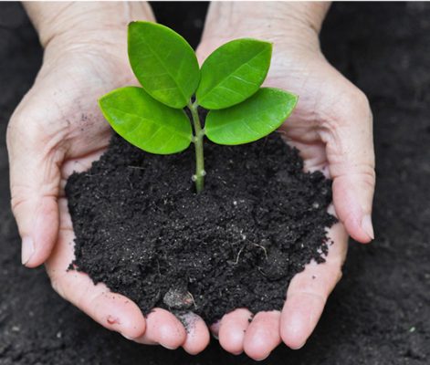 Mua phân hữu cơ giá sỉ ở đâu tốt